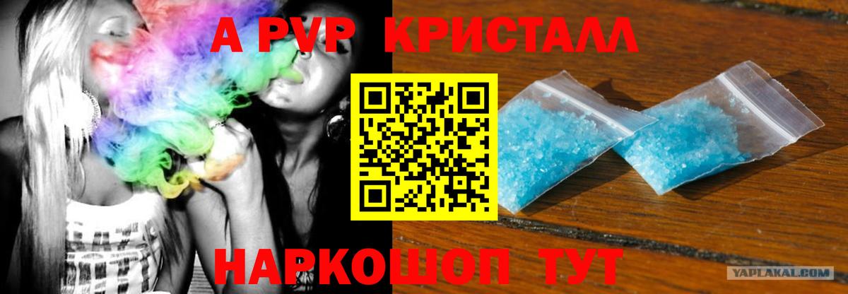 Черкесск  А ПВП мука  Вход с VPN  Alfa_PVP  Alfa_PVP кристаллы  Alfa_PVP СК КРИС 