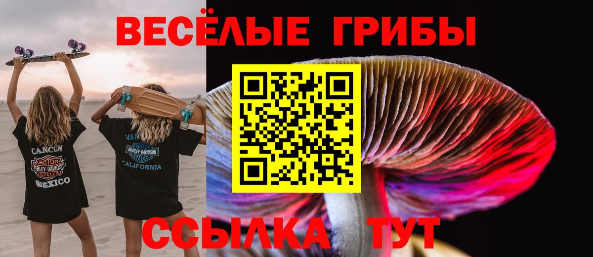 Черкесск  Галлюциногенные грибы мухоморы  Вход с VPN 