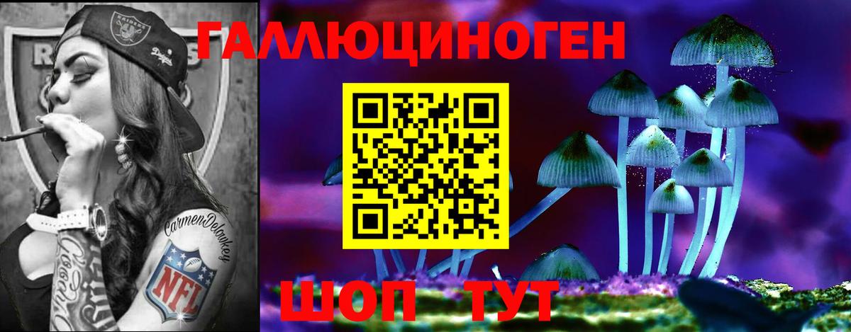 Псилоцибиновые грибы MAGIC MUSHROOMS Черкесск